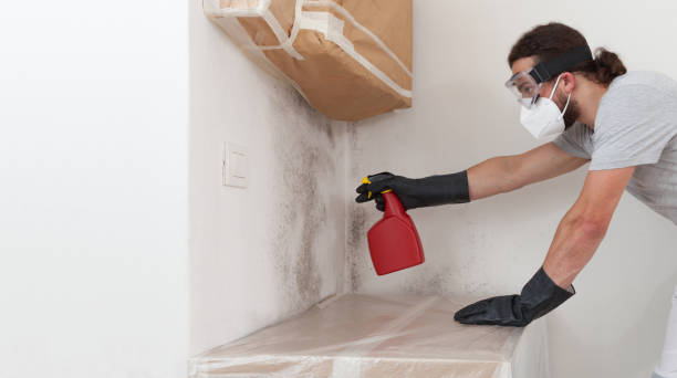 Professional Crawl Space Mold Remediation technician working in Vincentown, NJ
